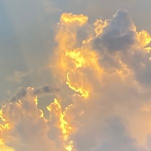 Meet your Posher, Riley